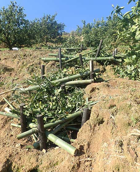 大地の再生 宇和島市吉田町 1 急傾斜崩壊地の抵抗柵の作り方 囲炉裏暖炉のある家 Tortoise Lotus Studio