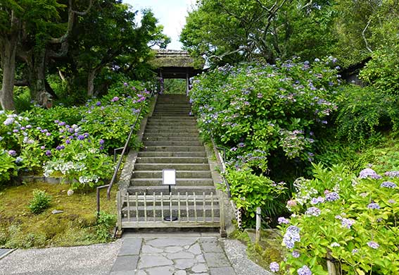 大地の再生＠北鎌倉「東慶寺」／1日目 | 囲炉裏暖炉のある家 tortoise＋lotus studio